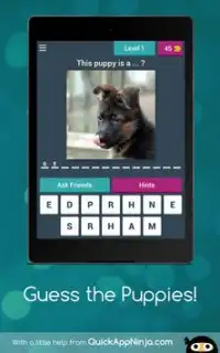 Guess the Puppies! Screen Shot 7