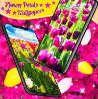 Spring Petals Live Wallpaper ❤️ Flower Wallpapers Screen Shot 1