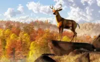 Deer Hunting - 2016 Sniper 3D Screen Shot 1