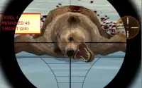 Chasseur d'ours 2017 3D Screen Shot 3