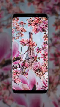 Flower Wallpapers in HD, 4K Screen Shot 7