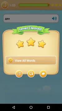 Jogo russo: jogo de palavras, jogo de vocabulário Screen Shot 2