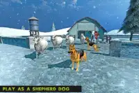ataque de un perro salvaje la supervivencia granja Screen Shot 6