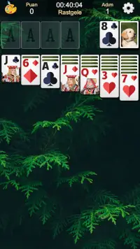 Solitaire Klasik Kart Oyunları Screen Shot 6