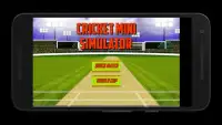 Cricket Mini Simulator Screen Shot 0