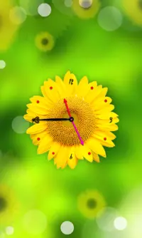 Sunflower Clock Live Wallpaper Screen Shot 3