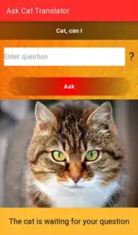 Ask Cat Translator Screen Shot 3