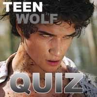 Wolf Quiz - Fan Trivia Game