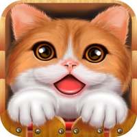 Cute Cat Diary