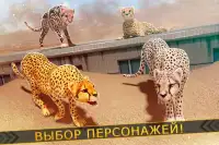 Леопард против Лев Клан - Дикий Саванна Гонки Screen Shot 2