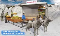 Śnieg Pies Sanki Transportować Gry Zima Sport Screen Shot 2