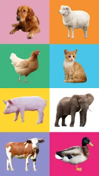 Animal Sounds Screen Shot 6