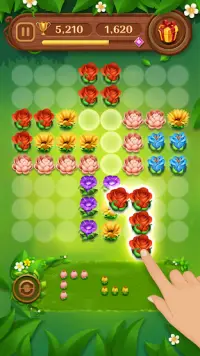 Puzzle Florido de Bloco Screen Shot 8