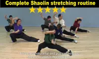 Shaolin Kung Fu Screen Shot 7