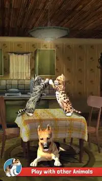 Cat Simulator Kitty 3D - FREE GAME Screen Shot 6
