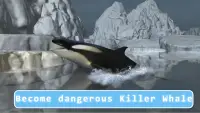 Killer Whale Orca Simulator Screen Shot 0