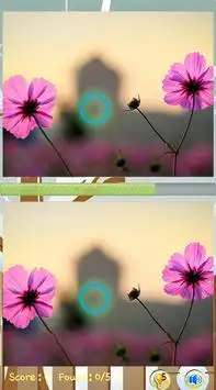 Encuentra Diferencia de flores Screen Shot 1