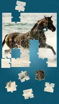 Horses Jigsaw Puzzle Game Screen Shot 13