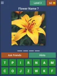 Guess Flowers Trivia Screen Shot 8