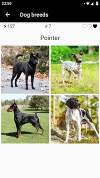 Dog breeds - Photo Quiz Screen Shot 1
