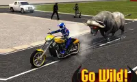 Angry Buffalo Attack 3D Screen Shot 3