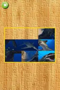 Dinosaur Puzzle Screen Shot 2