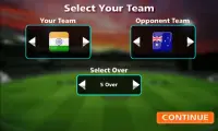 Cricket 2019 Championship Screen Shot 3