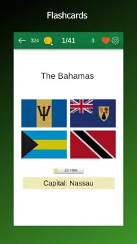 Flags of the World: Flag Quiz Screen Shot 4