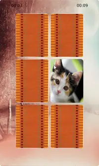 Cat Matching Screen Shot 0