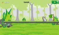 Funny Rabbit Go Screen Shot 4