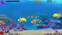 Fish Feeding Screen Shot 1