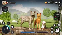 Cat Games Wild Zoo Animal Game Screen Shot 2