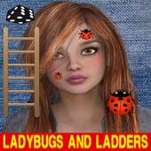 Ladybugs and Ladders