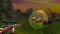 Deer Hunting Games 2021 Screen Shot 4