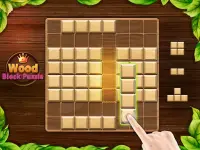 Wood Block Puzzle Blast Screen Shot 19