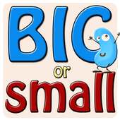 Big or Small