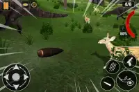 Wild Animals Jungle Hunting: FPS Shooting Game Screen Shot 11