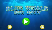 Blue Whale Run 2017 Screen Shot 0