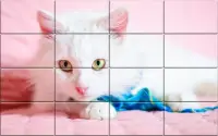 Tile Puzzle Cats Screen Shot 1