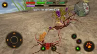 Life of Phrynus - Whip Spider Screen Shot 4