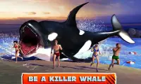 Killer Whale Beach Attack 3D Screen Shot 0