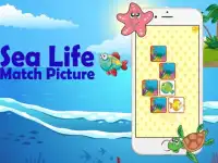 Kids Sea Life Match Picture Screen Shot 5