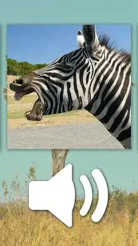 Puzzle Animaux Zoo gratuit Screen Shot 3