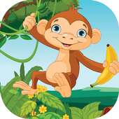 Jungle monkey adventures