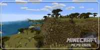 Free Minecraft PE 2020 Screen Shot 3
