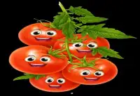 kids tomato crush Screen Shot 7