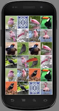 Игра на память. Птицы. 6  Screen Shot 5
