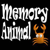 Memory Animal