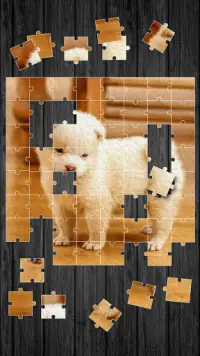 Cute Dogs Jigsaw Puzzle Screen Shot 3