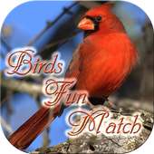 Birds Fun Match